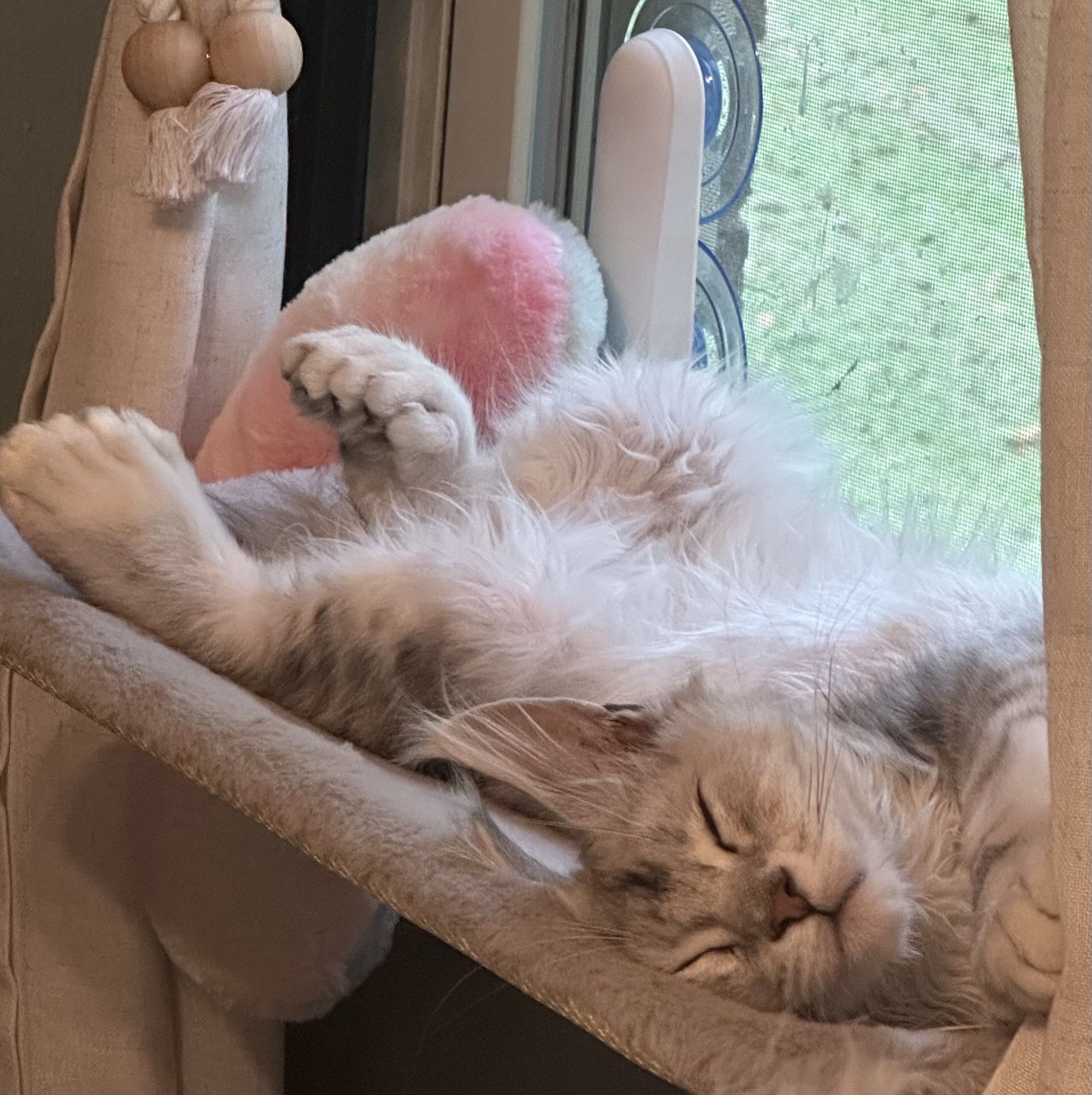 Image of Mercury Orion